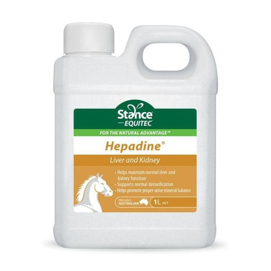 Stance Equitec Hepadine