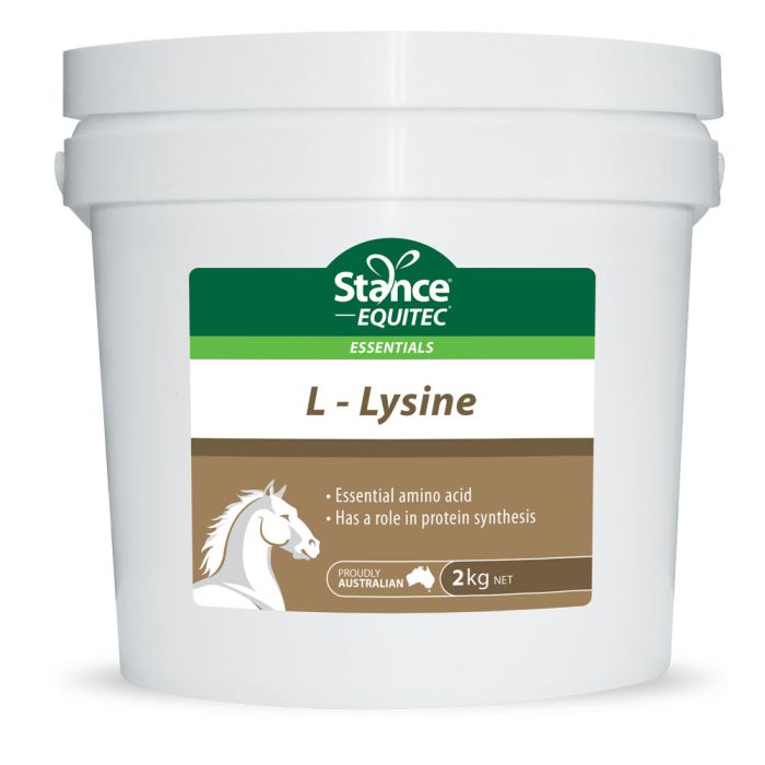 Stance Equitec Lysine