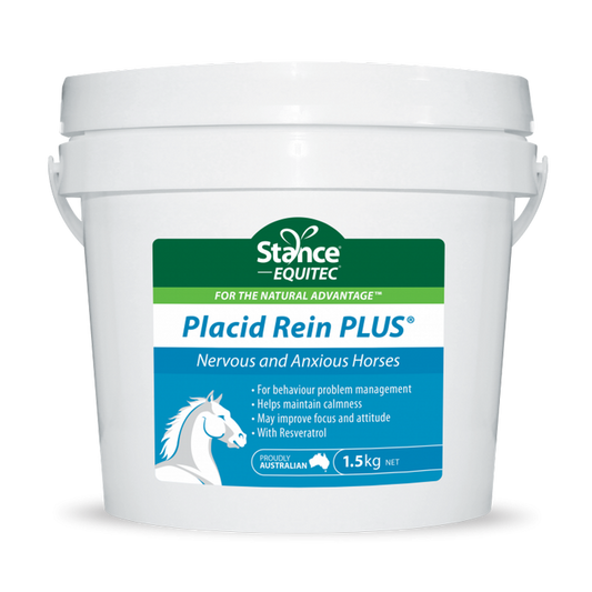 Stance Equitec Placid Rein Plus