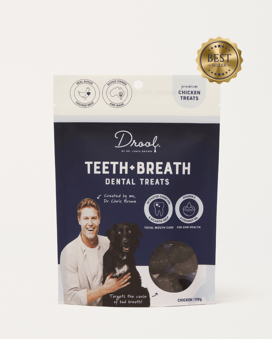 Drool Teeth + Breath dental treat balls 110g