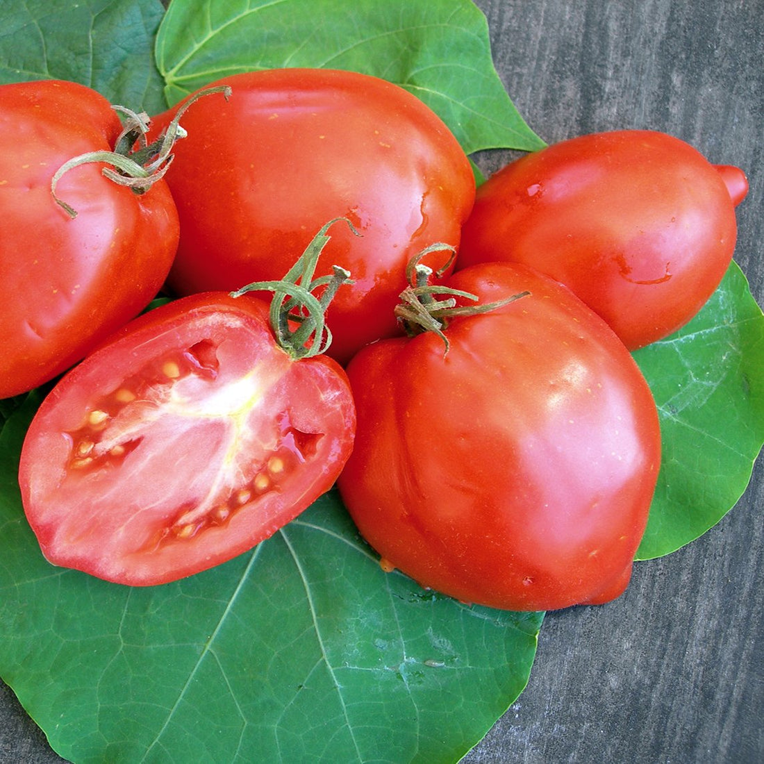 Amish Paste tomato
