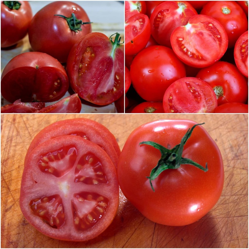 Arcadia tomato