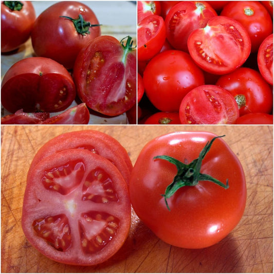 Arcadia tomato
