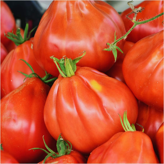 Big Pear tomato