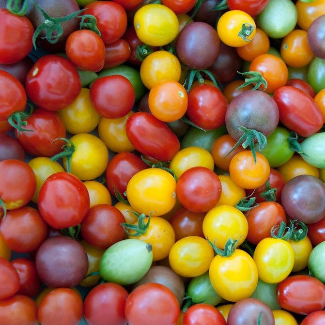 Cherry Mix tomatoes