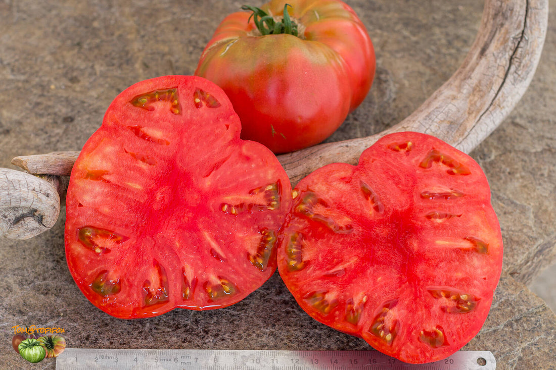 Earl's Faux tomato