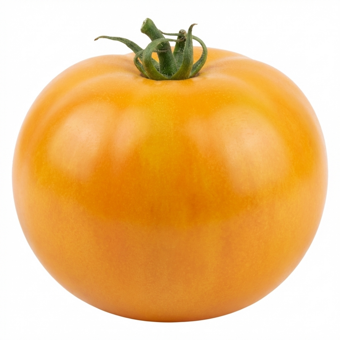 Golden Sunrise tomato