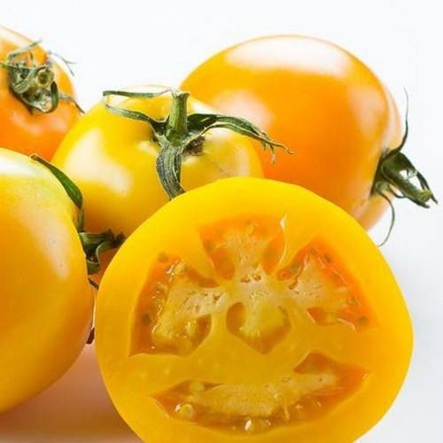 Jubilee tomato