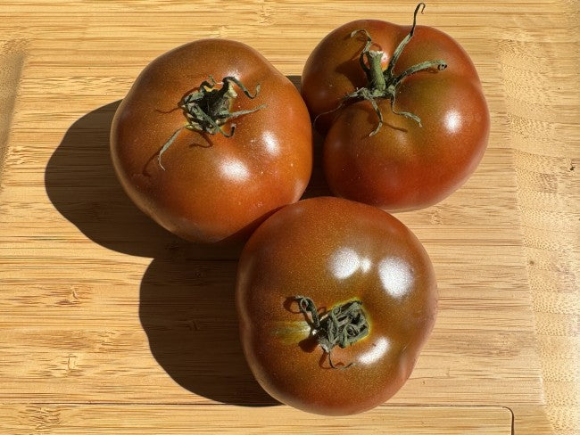 Kangaroo Paw Brown tomato