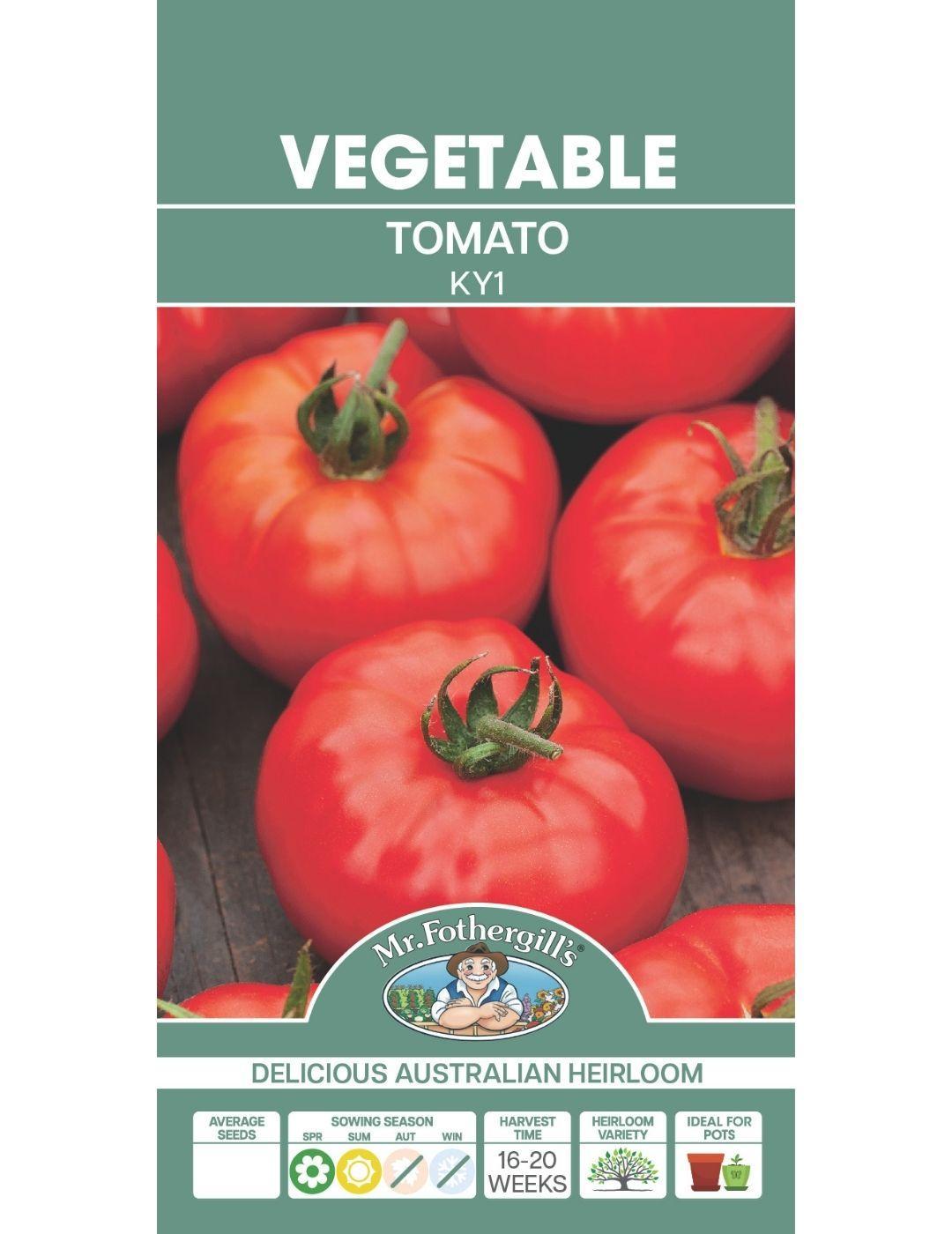 KY1 tomato