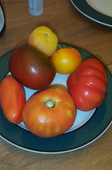 A selection of heirloom tomatoes — illustrative mix photograph, not the exact contents of the Eden seed packet; Stu Spivack, CC BY-SA 2.0