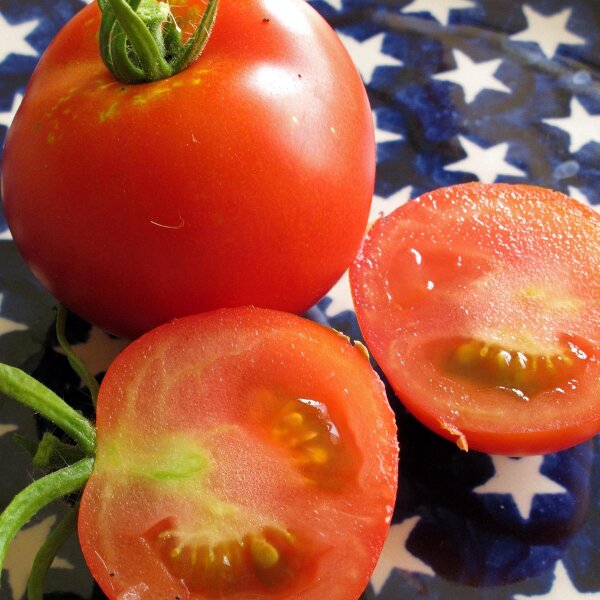 Moneymaker tomato