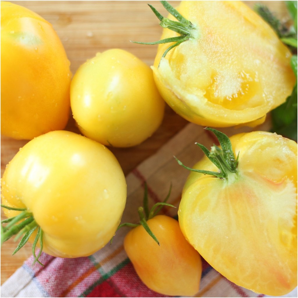 Yellow Oxheart tomato