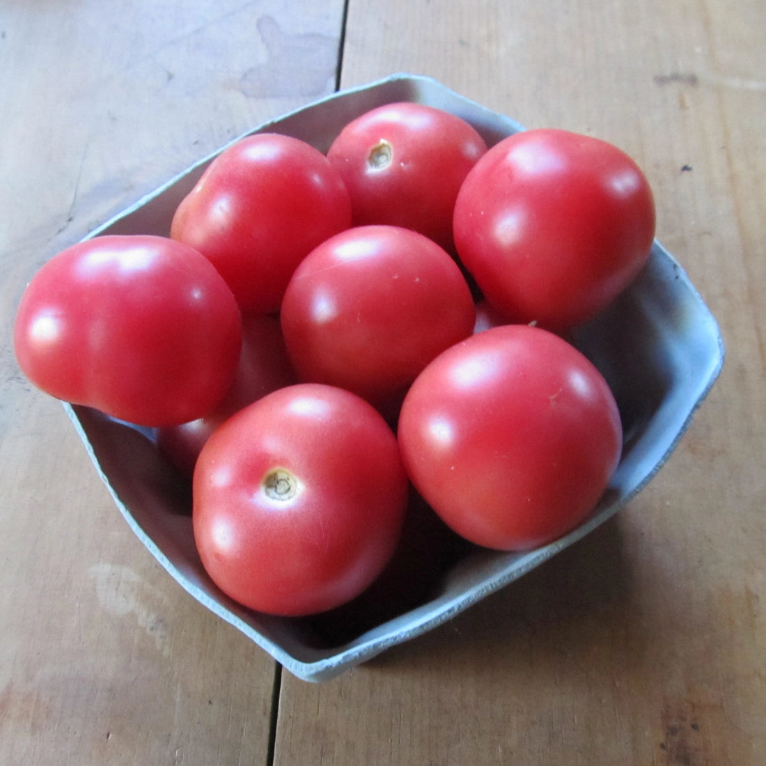 Pink Ping Pong tomato