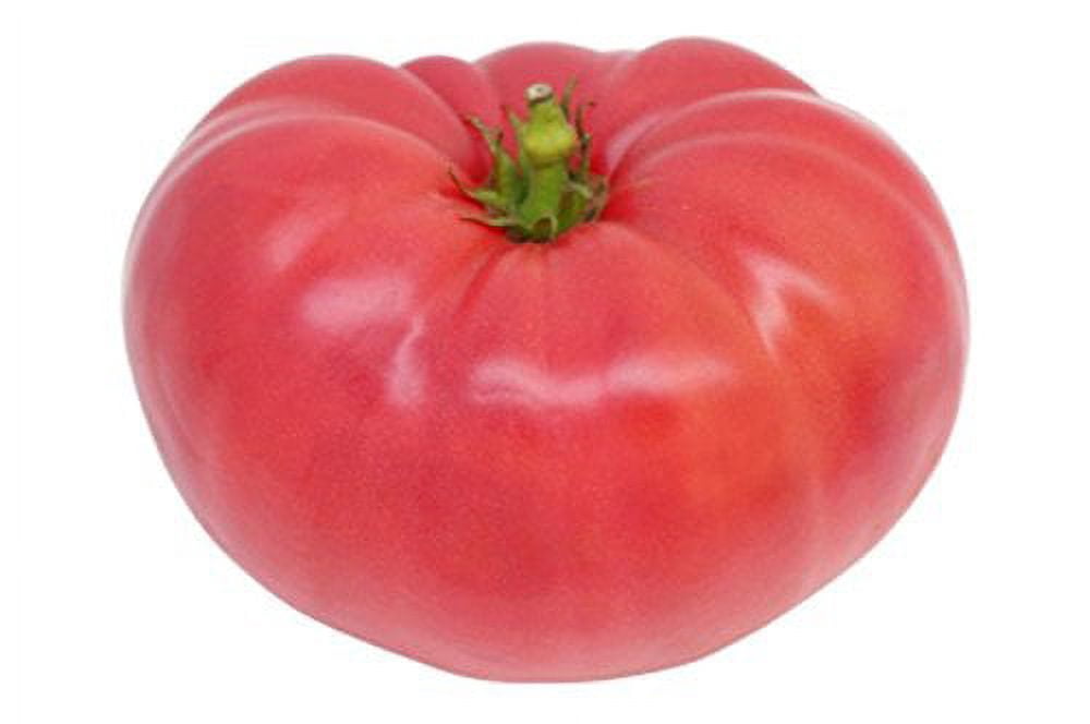 Ponderosa Pink tomato