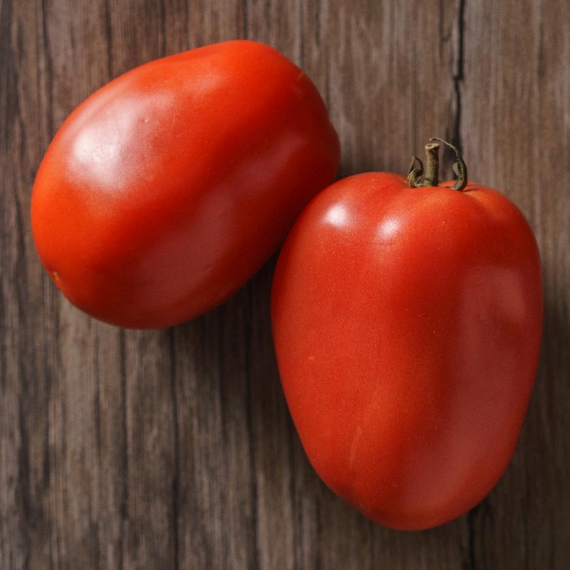 Roma tomato