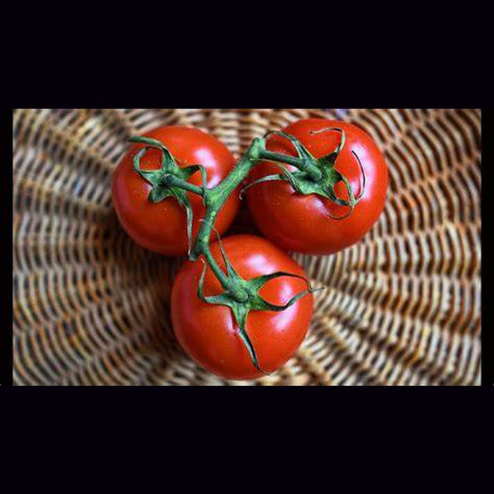 Russian Red tomato