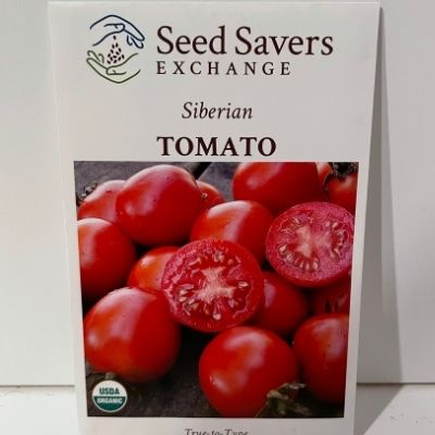 Siberian tomato