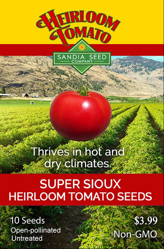 Super Sioux tomato