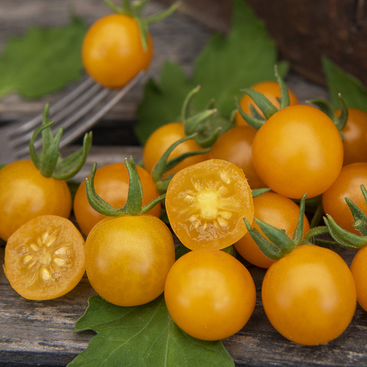 Yellow Currant tomato