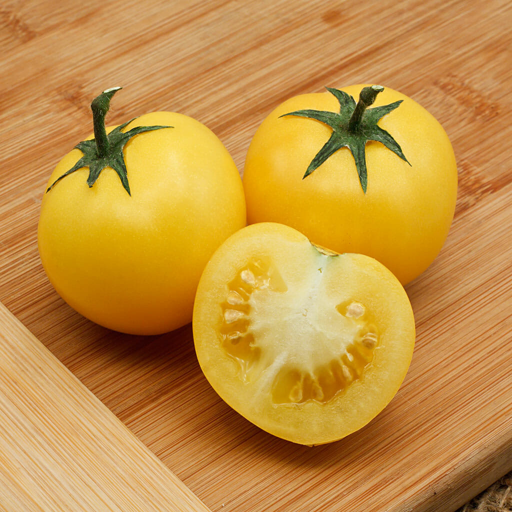 Yellow Perfection tomato