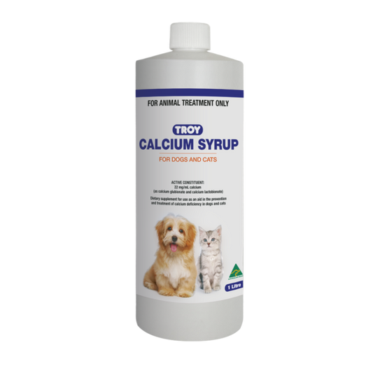 Troy Calcium Syrup