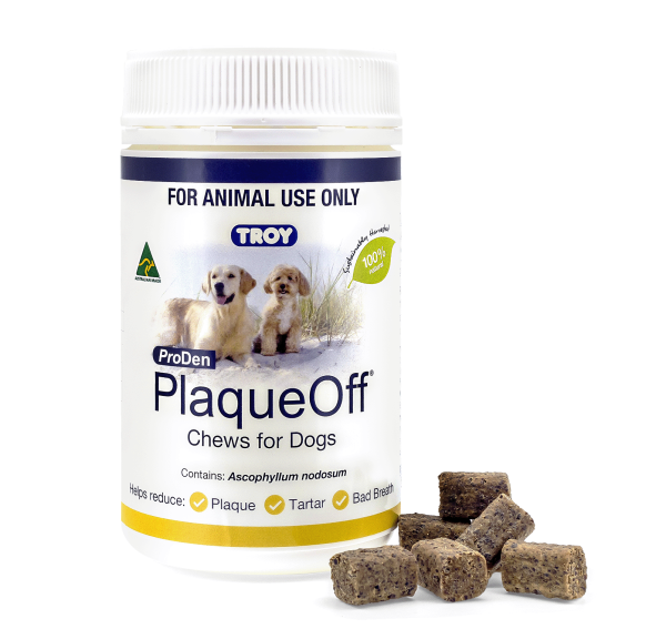 Troy PlaqueOff Dental Care Chews 100 Pack
