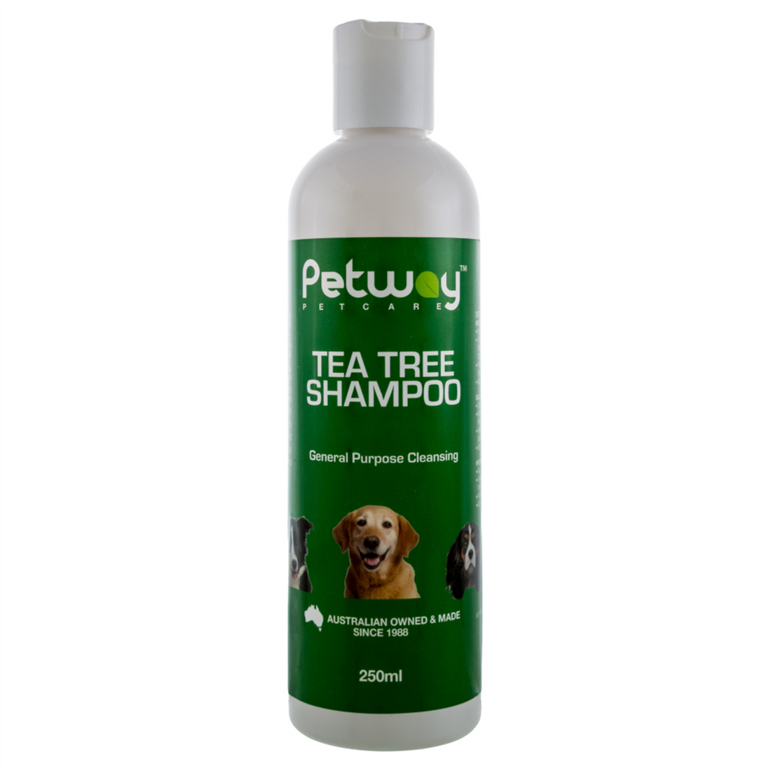 Petway Tea Tree Shampoo 250mL