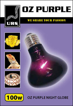 URS Oz Purple Night Globe product image