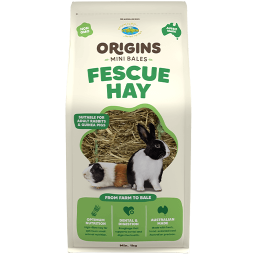 Vetafarm Origins Fescue Hay Mini Bale 1kg product packaging