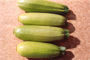 Zucchini – Lebanese crop image from Eden Seeds.