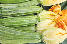 Zucchini – Romanesco crop image from Eden Seeds.